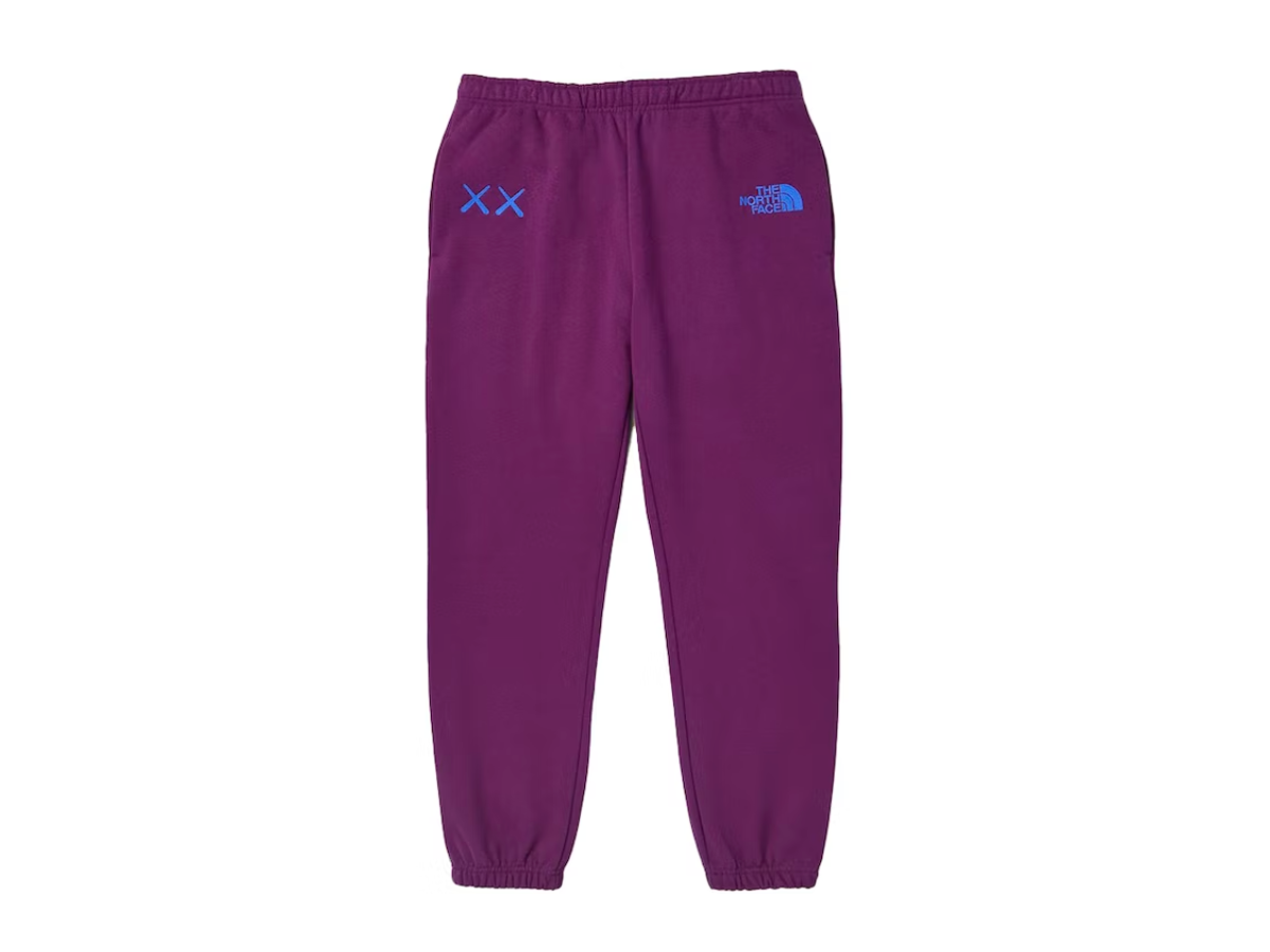 KAWS x THE NORTH FACE SWEAT PANTS – The Flaire