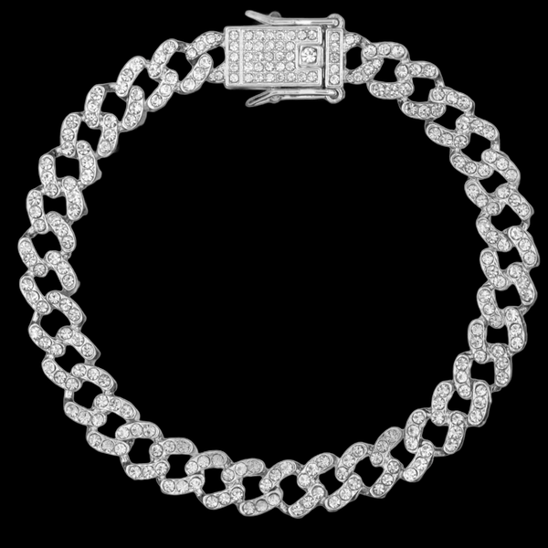 DIANA ANKLET SILVER — The link